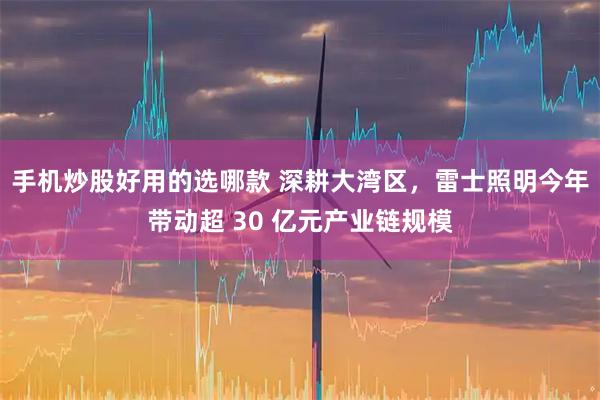 手机炒股好用的选哪款 深耕大湾区，雷士照明今年带动超 30 亿元产业链规模