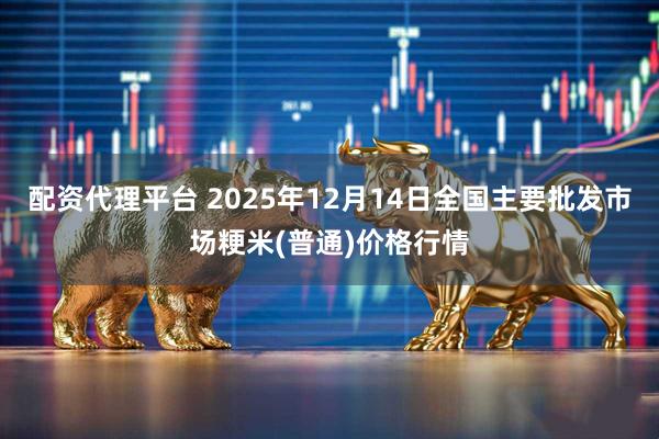 配资代理平台 2025年12月14日全国主要批发市场粳米(普通)价格行情