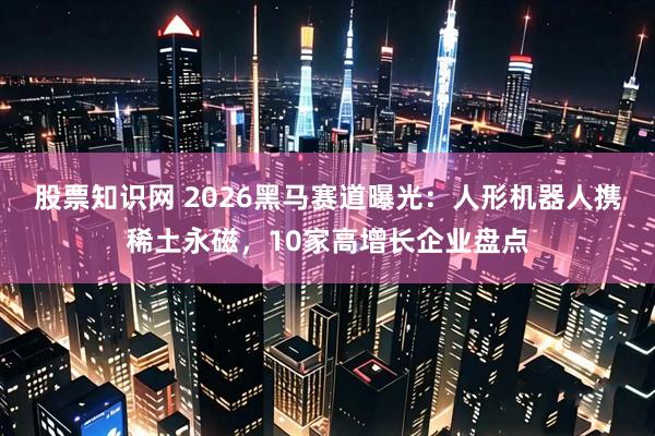 股票知识网 2026黑马赛道曝光：人形机器人携稀土永磁，10家高增长企业盘点